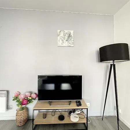 & Cosy, Charcot- Wifi - Lave Linge - Balcon - Parking Appartement Lyon