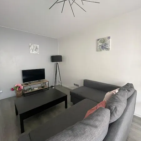 & Cosy, Charcot- Wifi - Lave Linge - Balcon - Parking Appartement Lyon