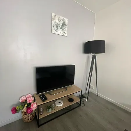 & Cosy, Charcot- Wifi - Lave Linge - Balcon - Parking * Lyon